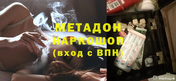 прущие грибы Богданович