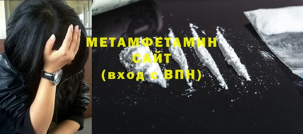 прущие грибы Богданович