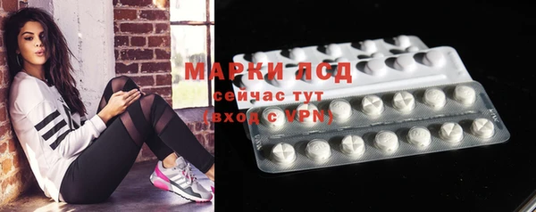 прущие грибы Богданович