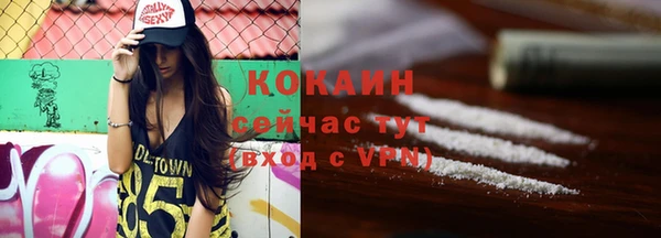 прущие грибы Богданович