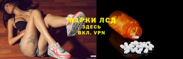 прущие грибы Богданович