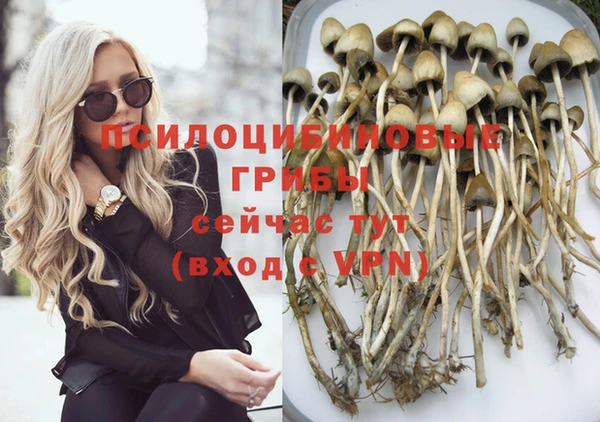 эйфоретик Богородицк